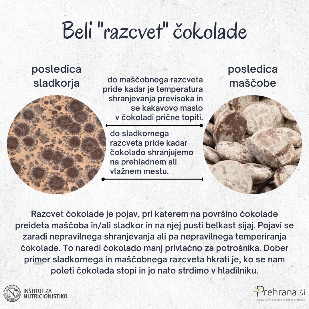 Beli razcvet čokolade